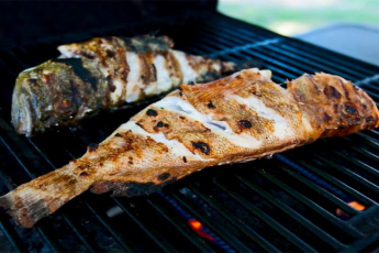 GRILLED FISH